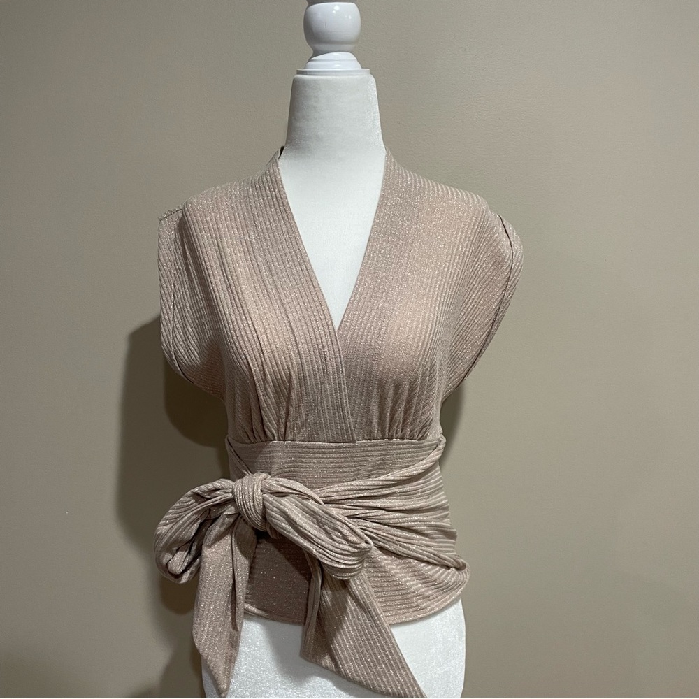Express Glittery, Shimmering Sleeveless Deep V-Neck Top